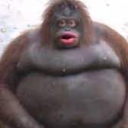 monke