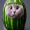 Tanorn