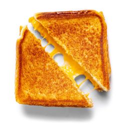 a grilled cheese tragedy